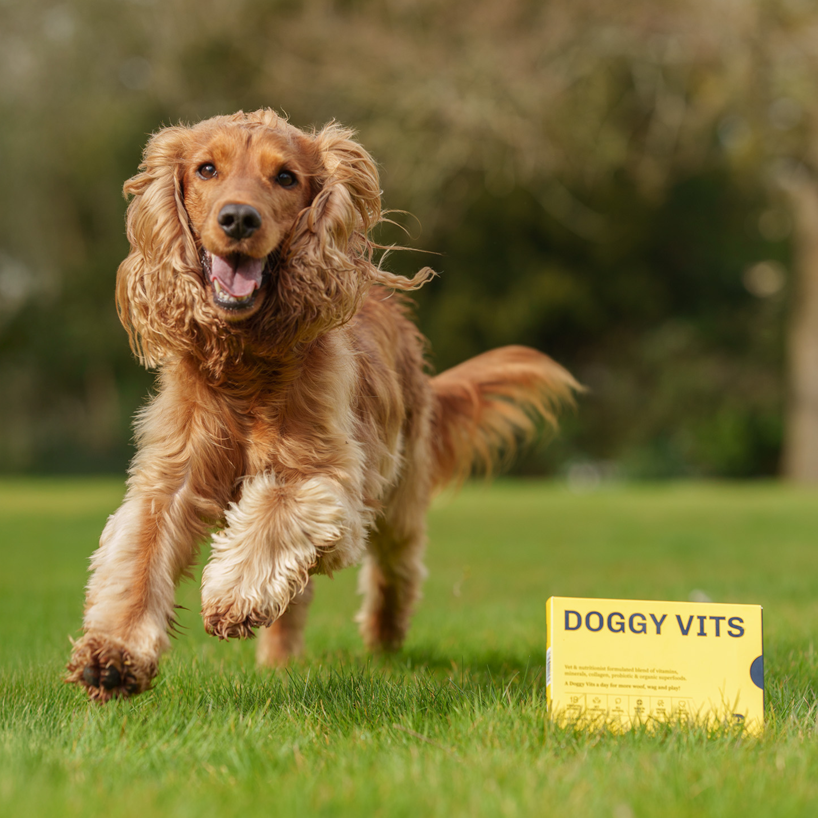 DOGGY VITS WELCOME OFFER (x1 box, 30 sachets)