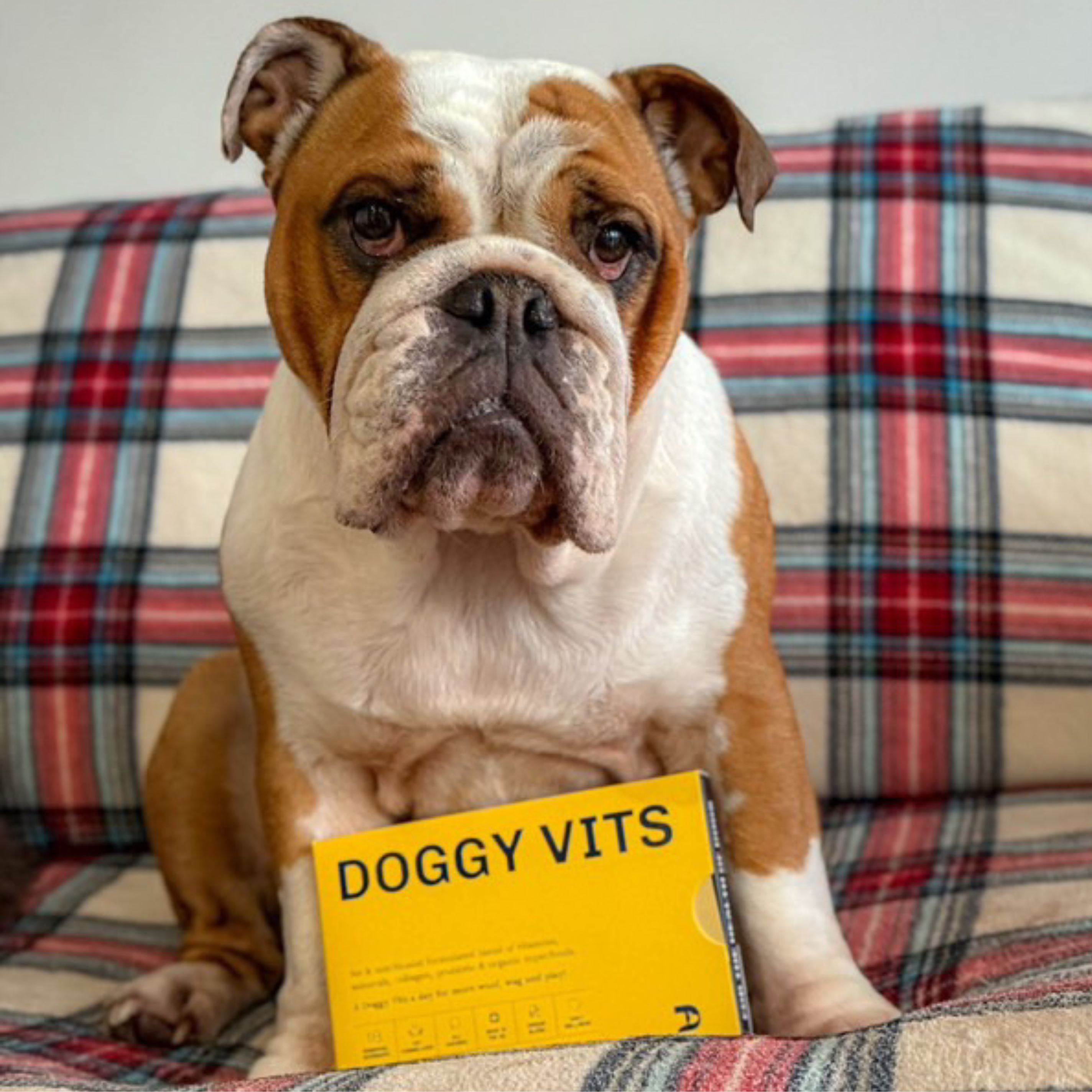 DOGGY VITS WELCOME OFFER (x1 box, 30 sachets)