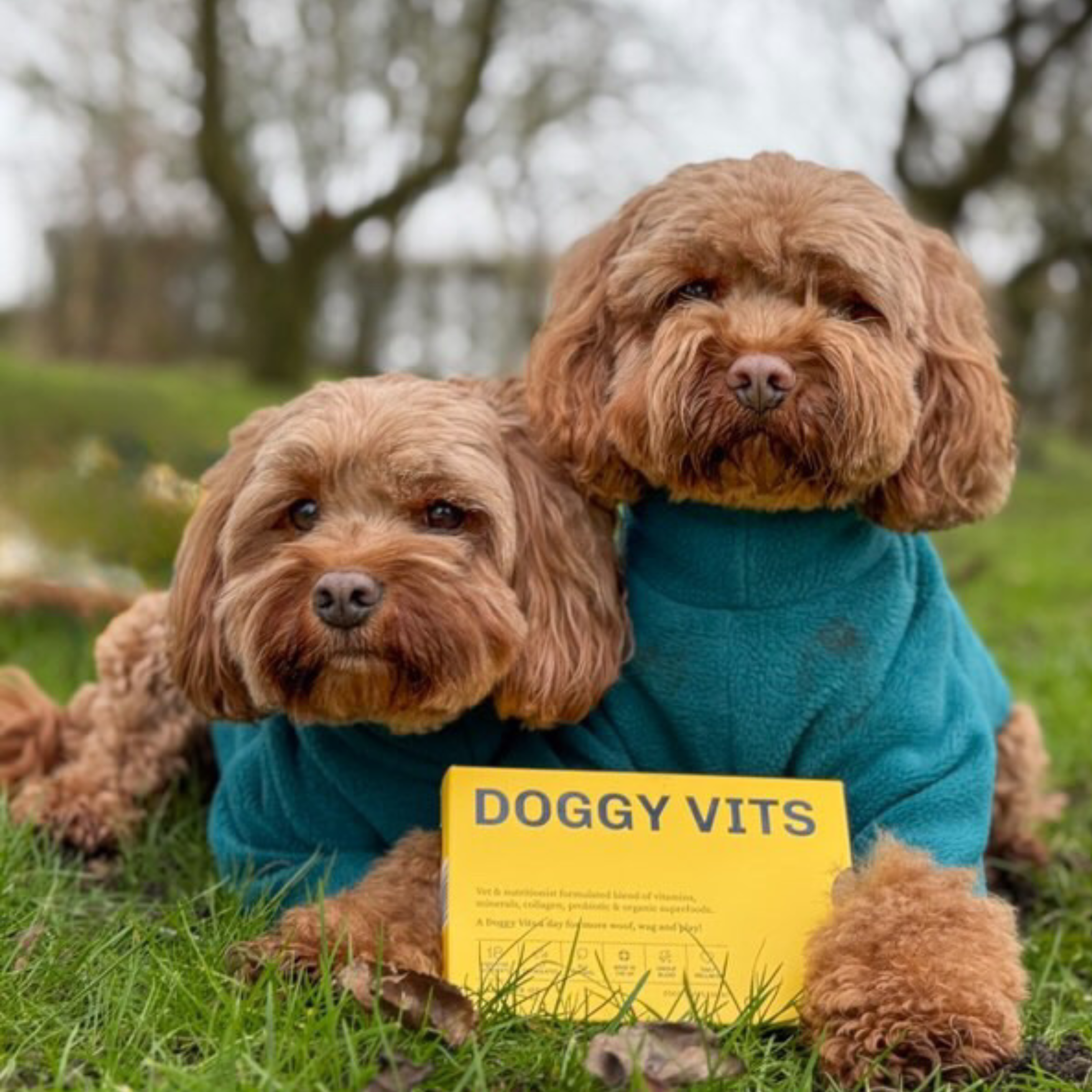 DOGGY VITS WELCOME OFFER (x1 box, 30 sachets)